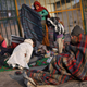 A homeless Indian family rises to start the day, on a pavement on a cold morning in New Delhi, India. AP/Altaf Qadri